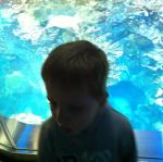 2014-12-14 10.37.23.jpg