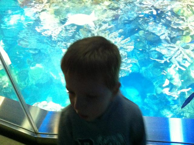 2014-12-14 10.37.23.jpg