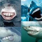 2012-11-10 14.34.50.jpg