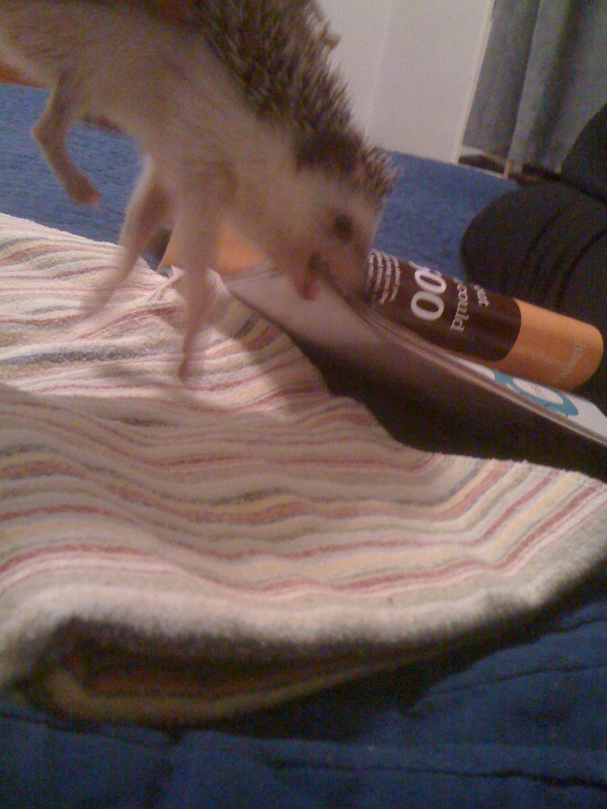 2010-08-15 21.44.46.jpg