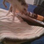 2010-08-15 21.44.46.jpg