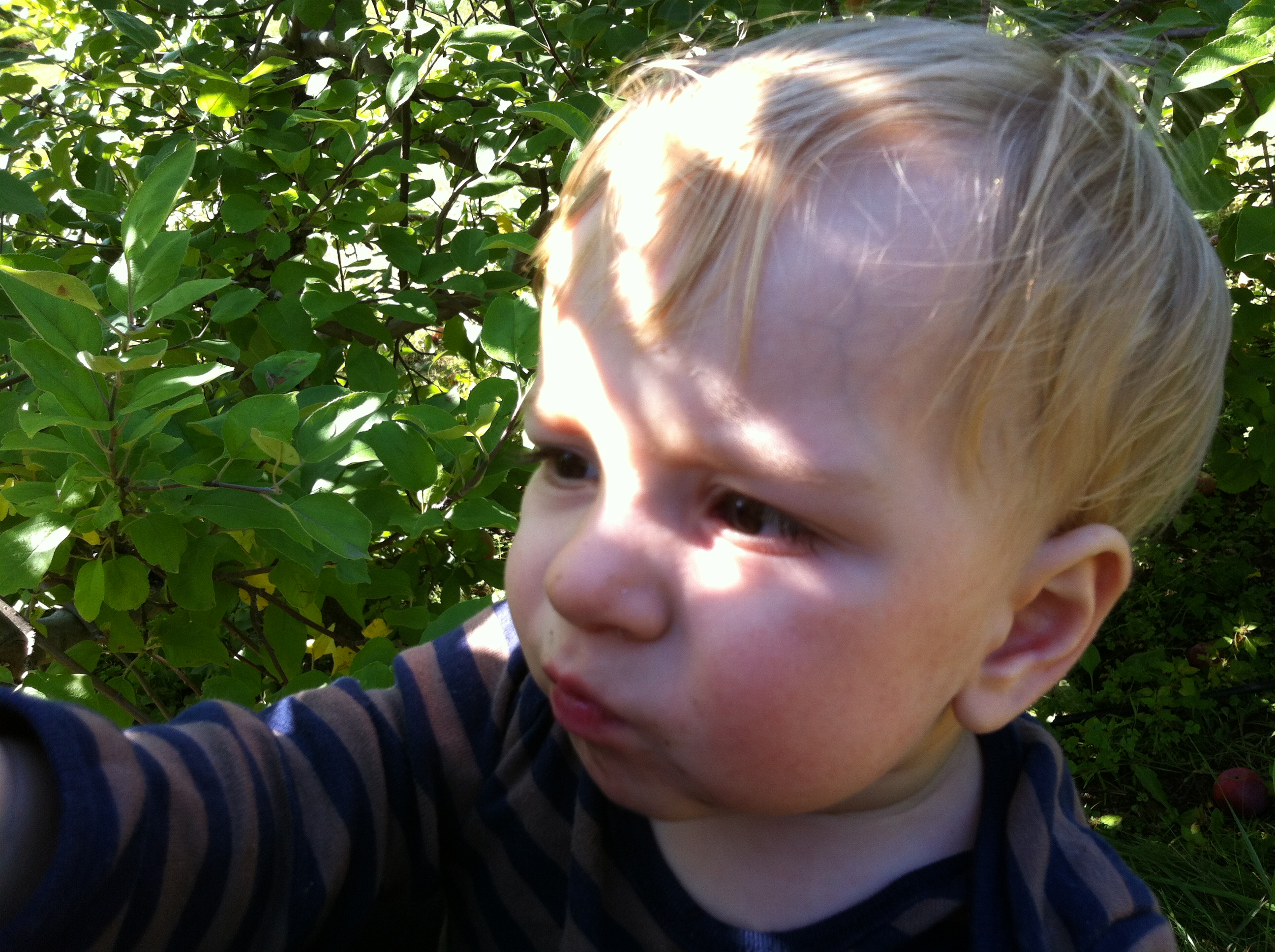 2012-09-22 14.07.24.jpg