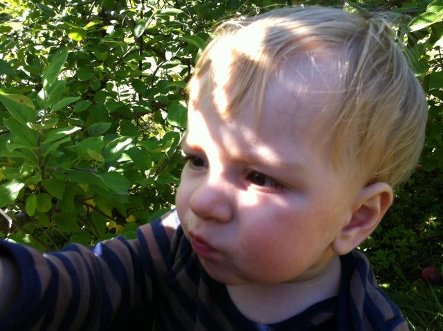 2012-09-22 14.07.24.jpg