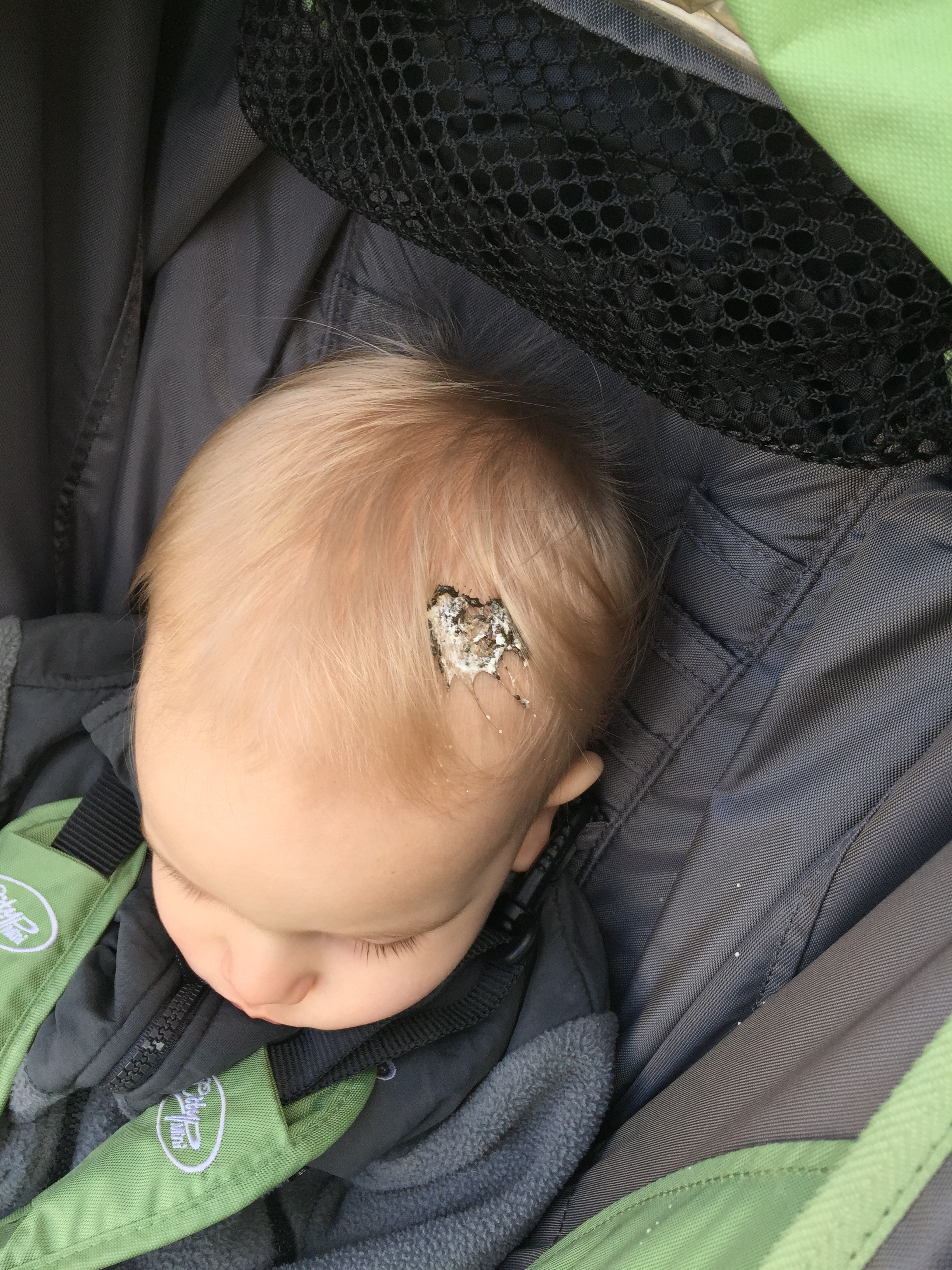 2015-04-04 09.30.45.jpg