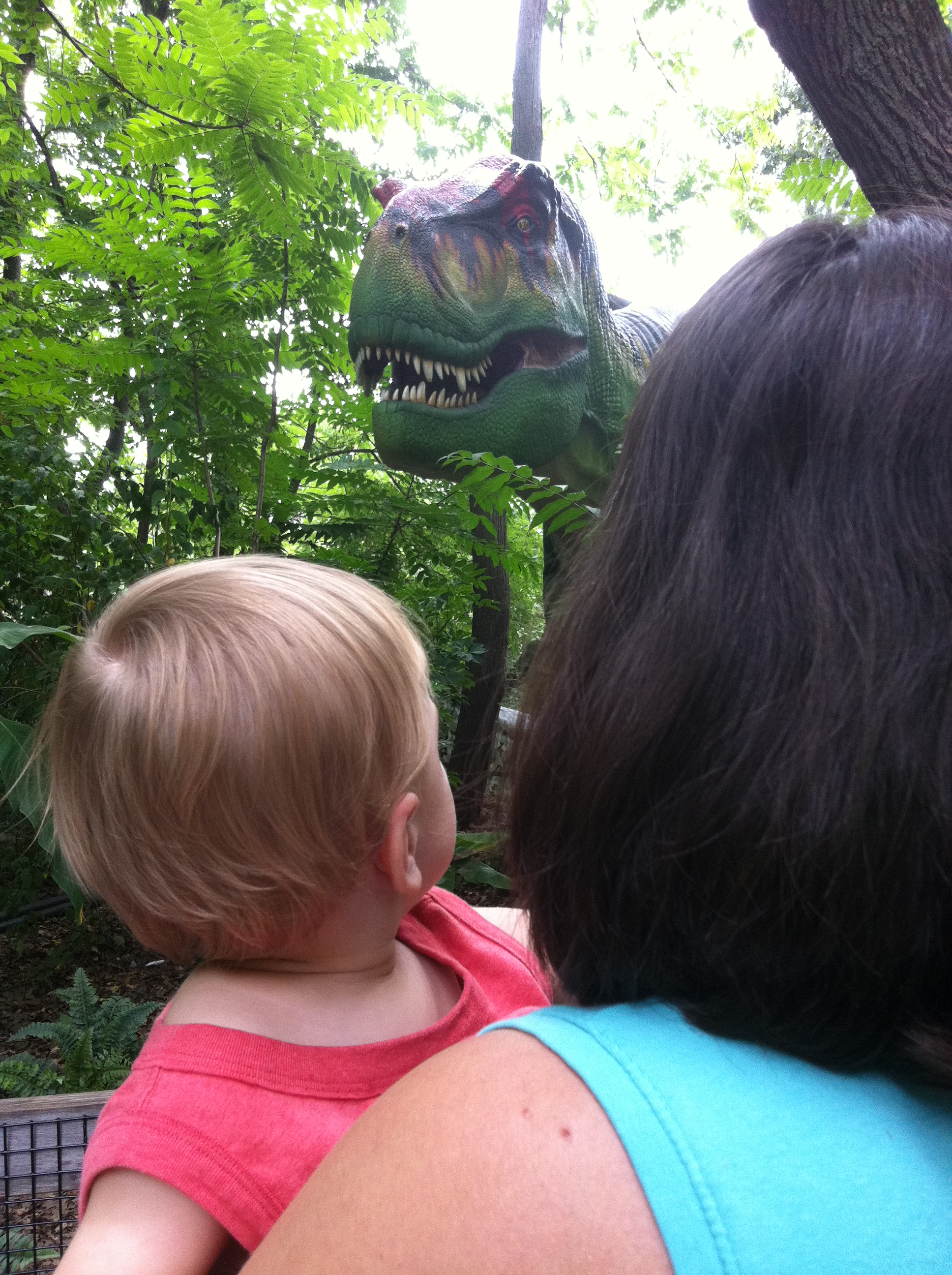 2012-09-02 11.46.04.jpg