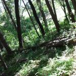 2014-06-01 09.47.26.jpg