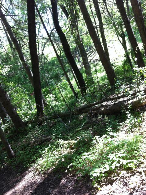 2014-06-01 09.47.26.jpg