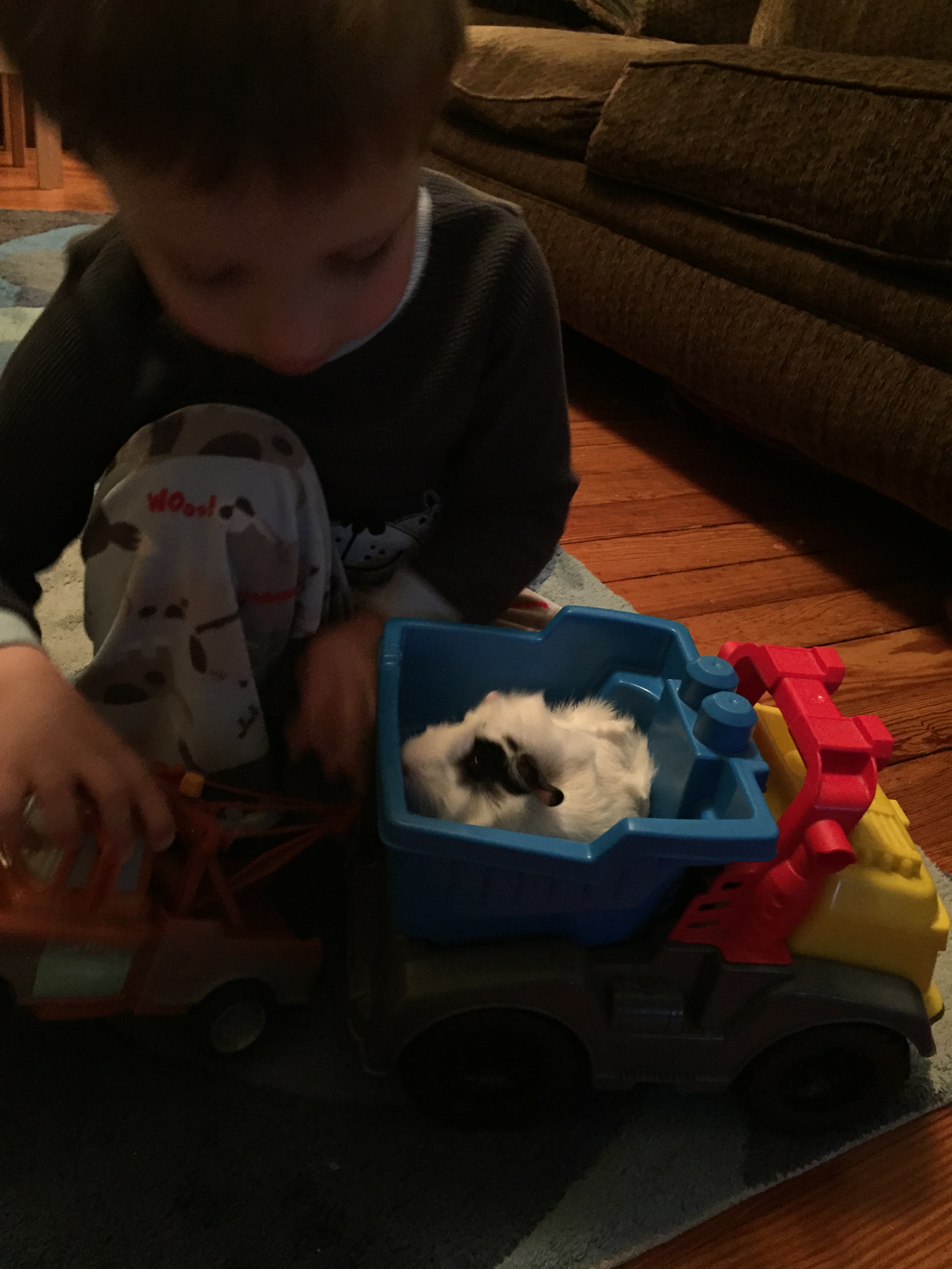 2015-06-02 19.56.46.jpg