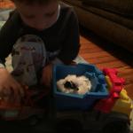 2015-06-02 19.56.46.jpg