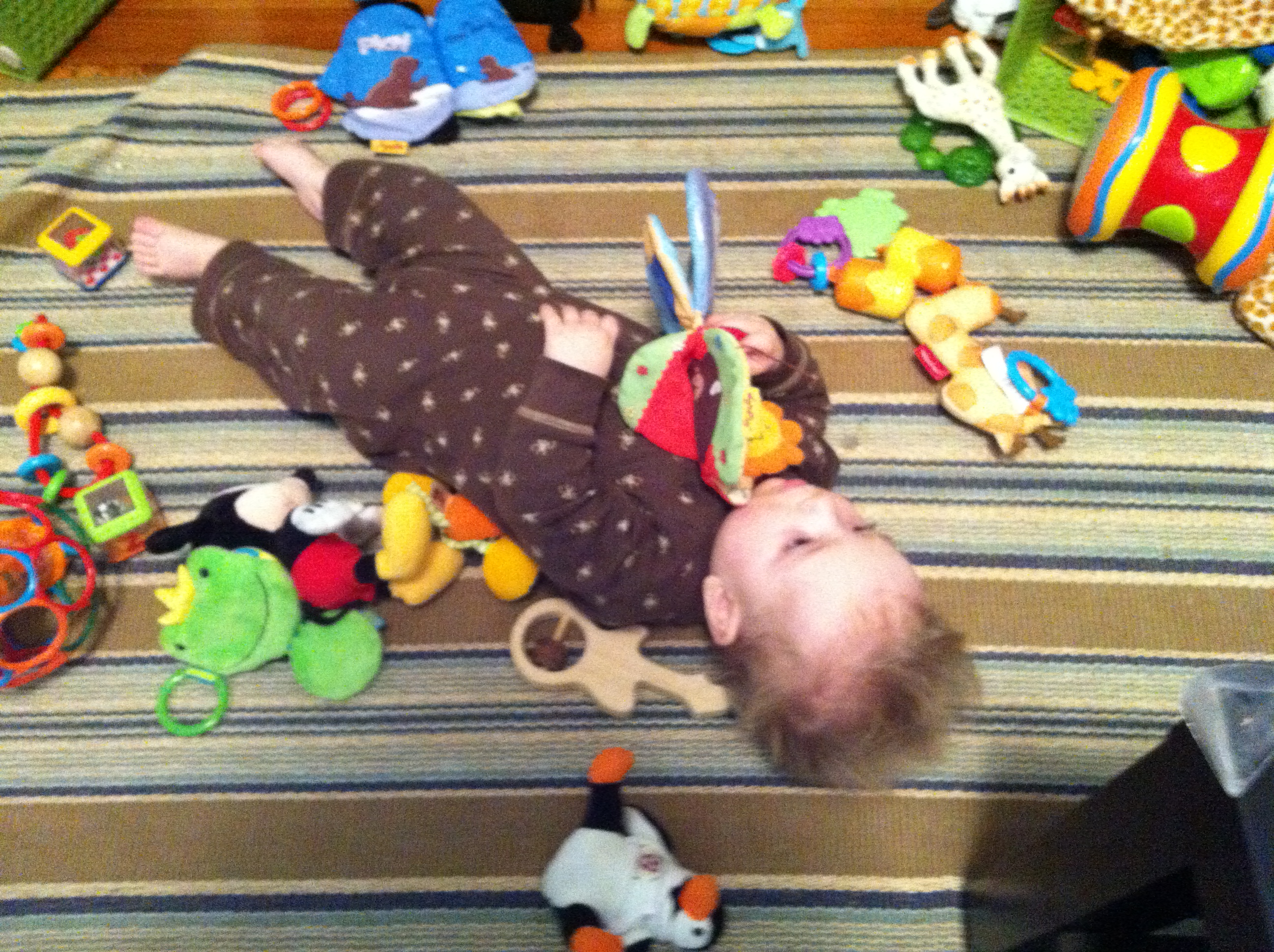 2012-06-05 07.57.21.jpg