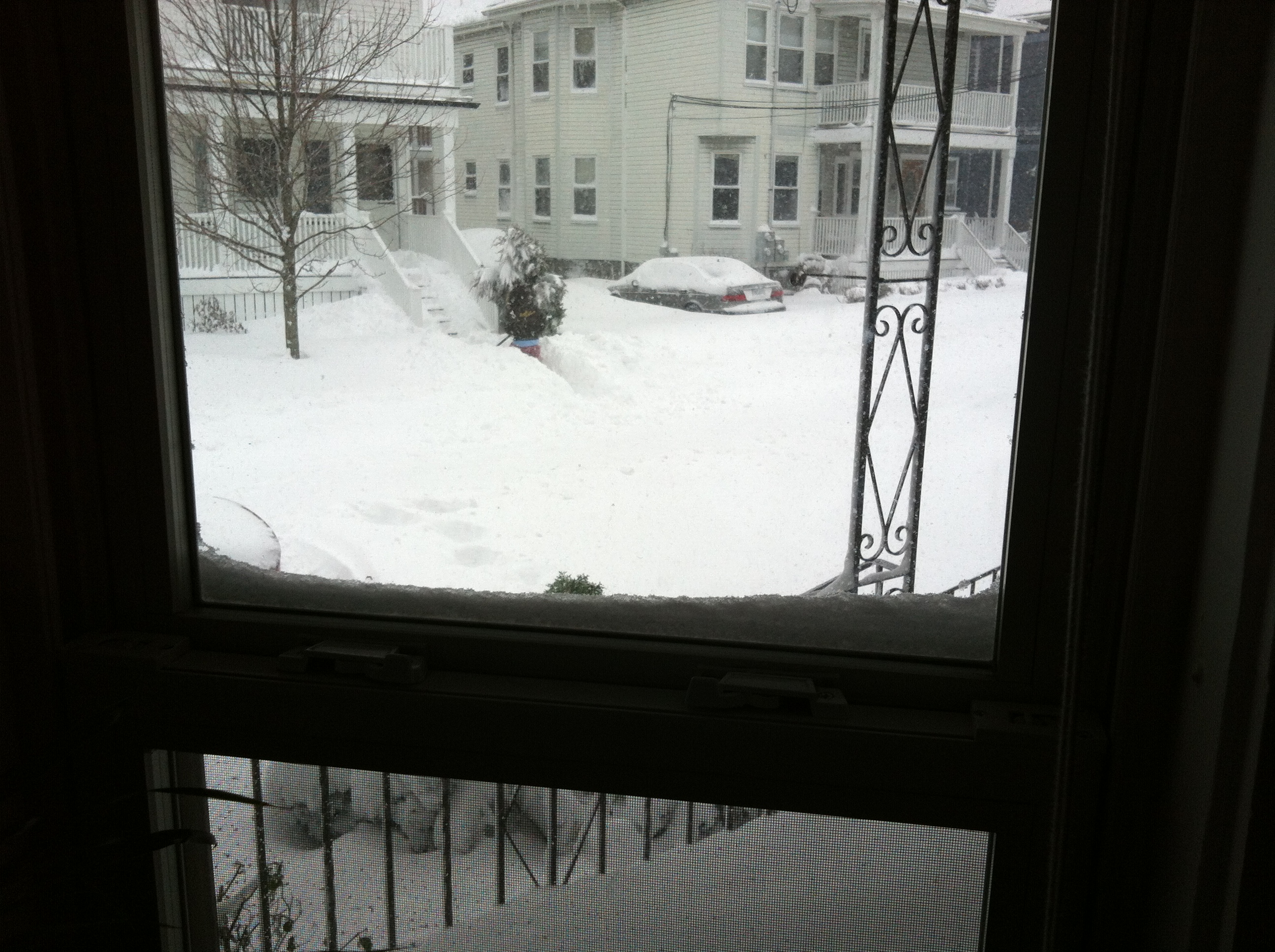 2013-02-09 07.47.47.jpg