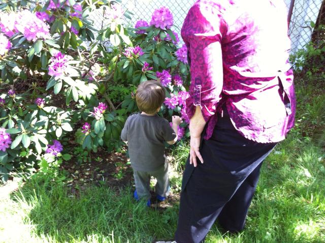 2013-05-27 15.08.23.jpg