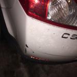 2015-02-18 17.52.02.jpg