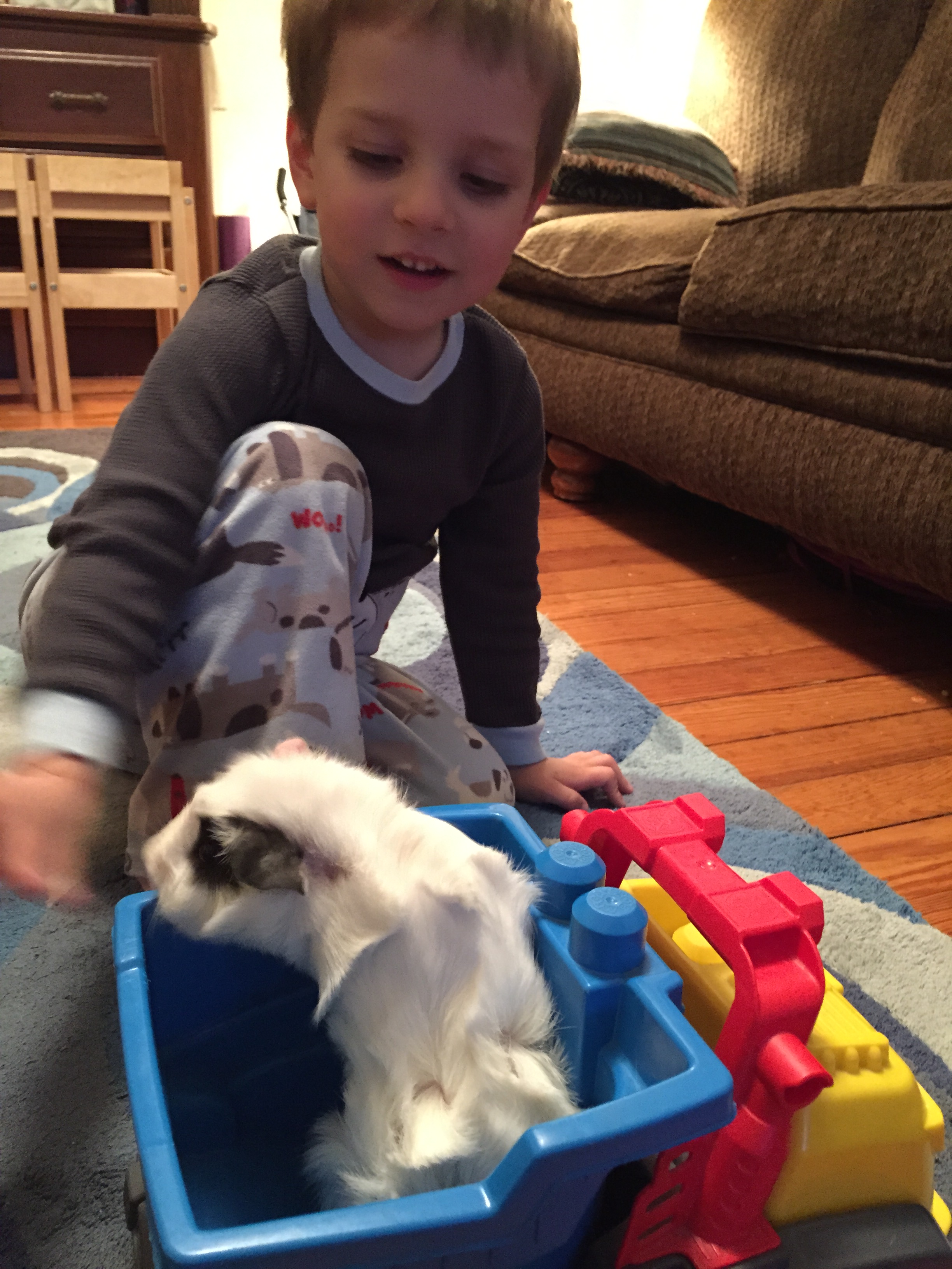 2015-06-02 19.59.38.jpg