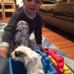 2015-06-02 19.59.38.jpg