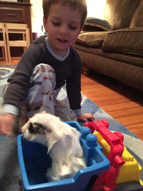 2015-06-02 19.59.38.jpg