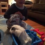 2015-06-02 19.59.44.jpg