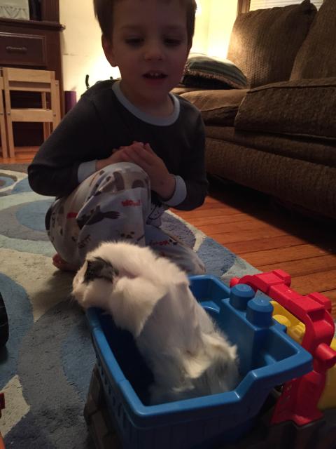 2015-06-02 19.59.44.jpg