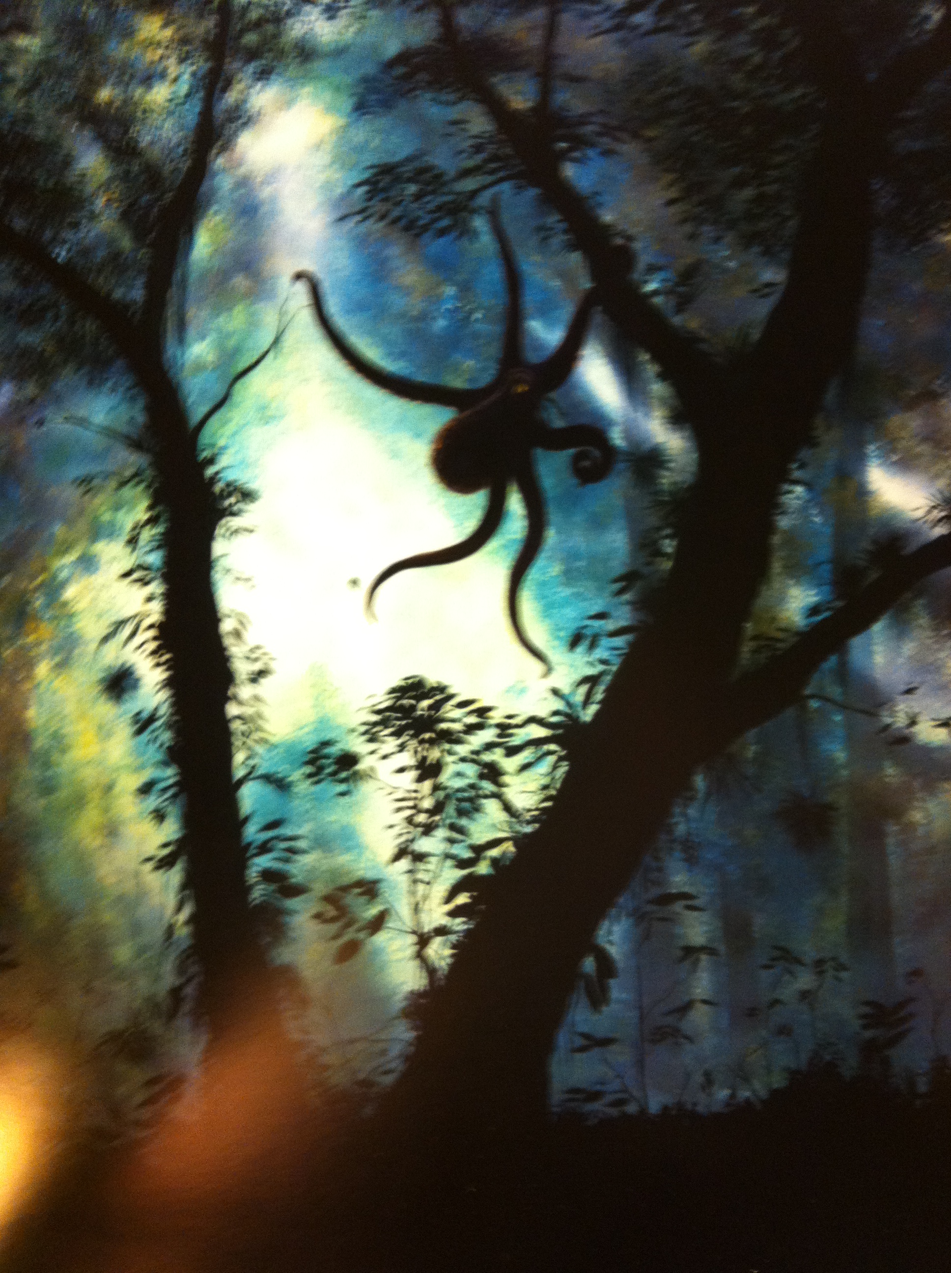 2013-01-10 19.20.53.jpg