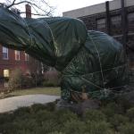 2015-04-10 19.34.12.jpg