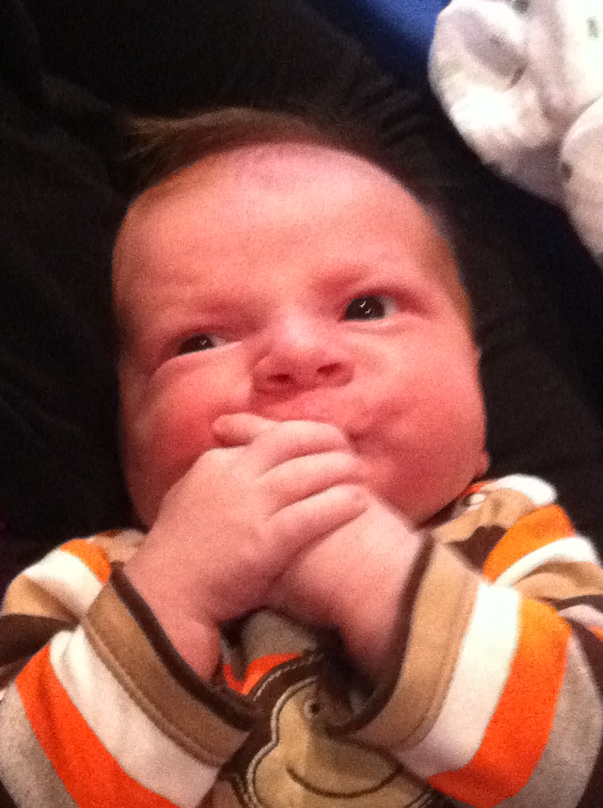 2011-10-01 15.06.19.jpg