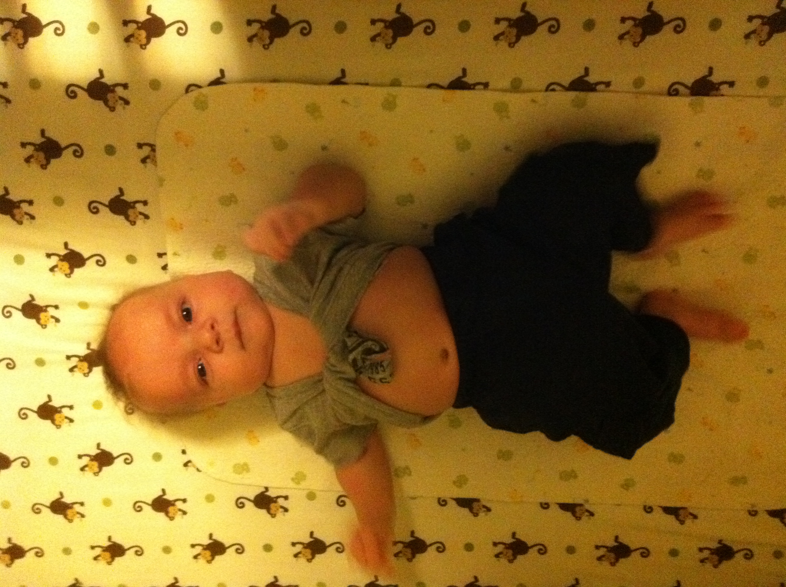 2011-11-29 18.09.01.jpg