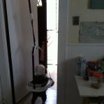 2012-06-09 10.32.59.jpg