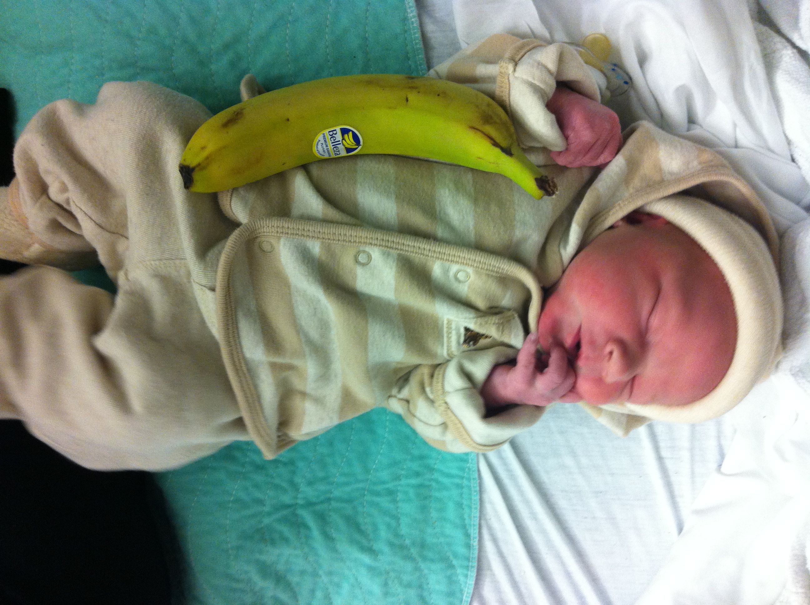 2014-01-25 19.23.17.jpg