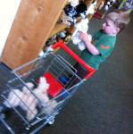 2013-05-19 12.50.26.jpg