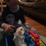 2015-06-02 19.59.36.jpg