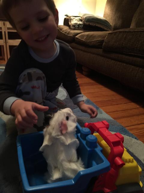 2015-06-02 19.59.36.jpg