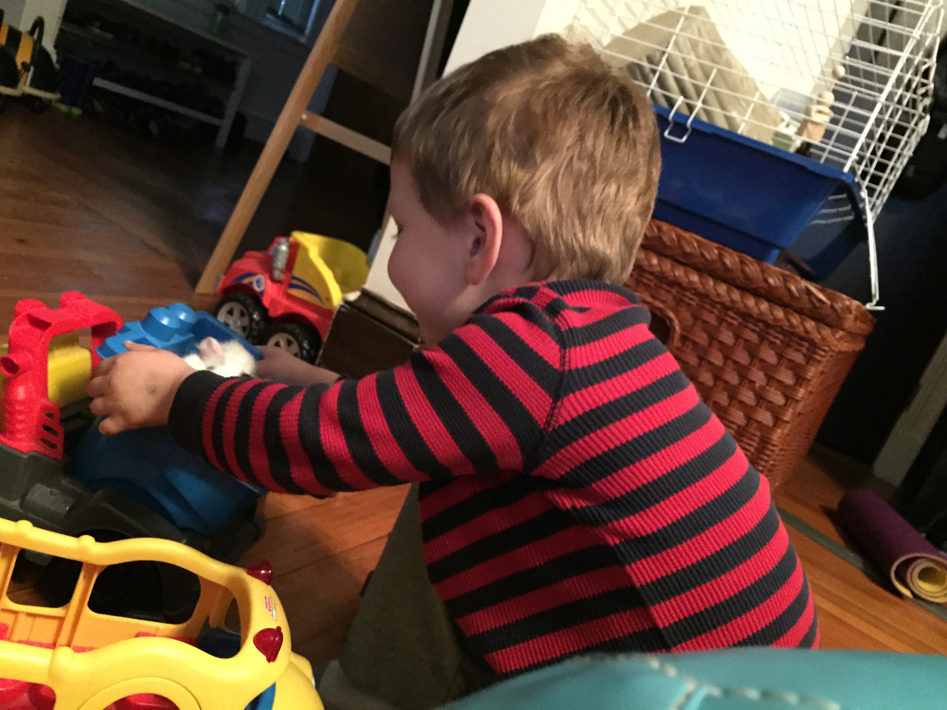 2015-06-01 19.21.32.jpg