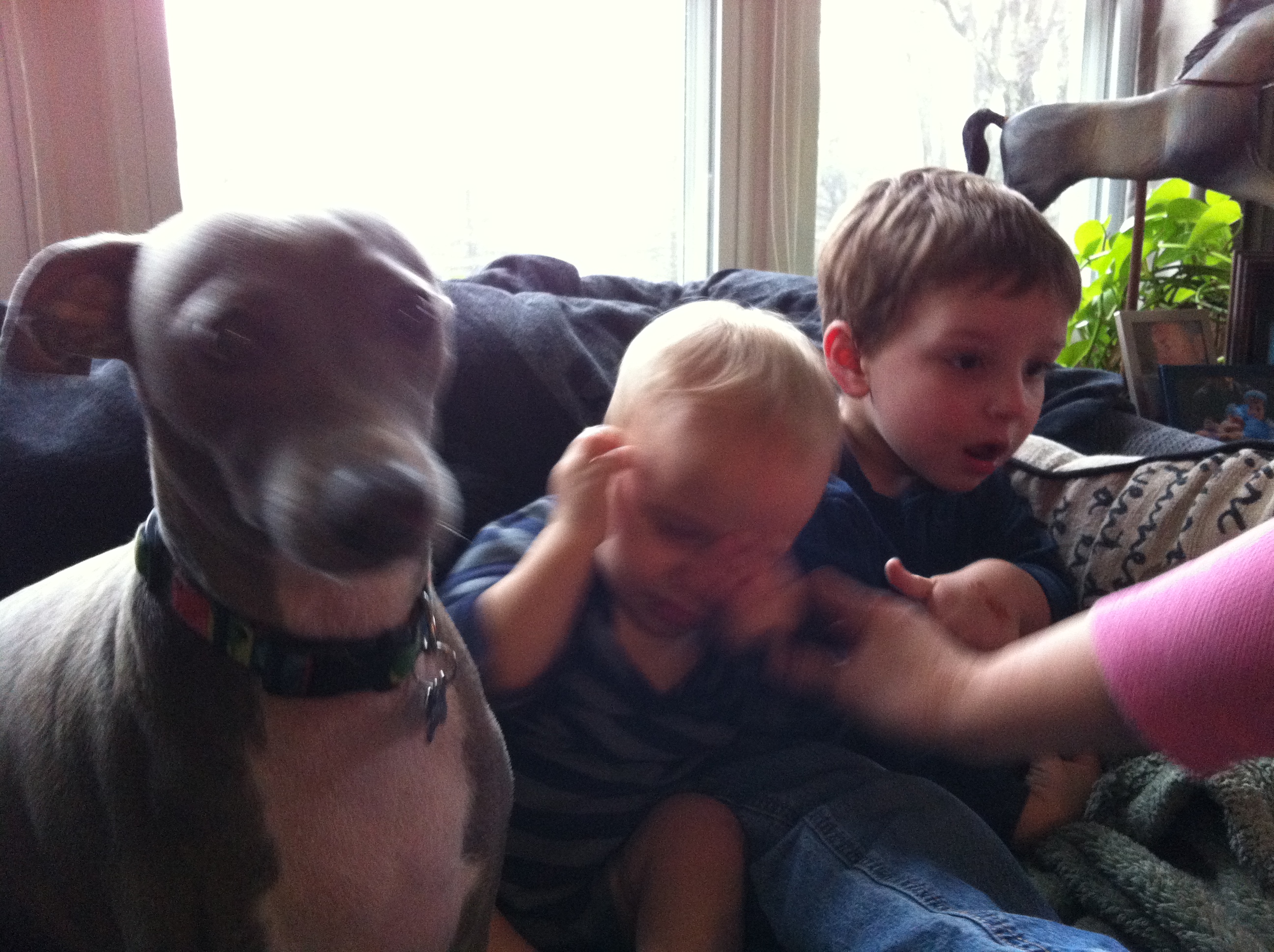 2014-12-24 11.47.19.jpg