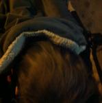 2014-02-20 19.11.45.jpg