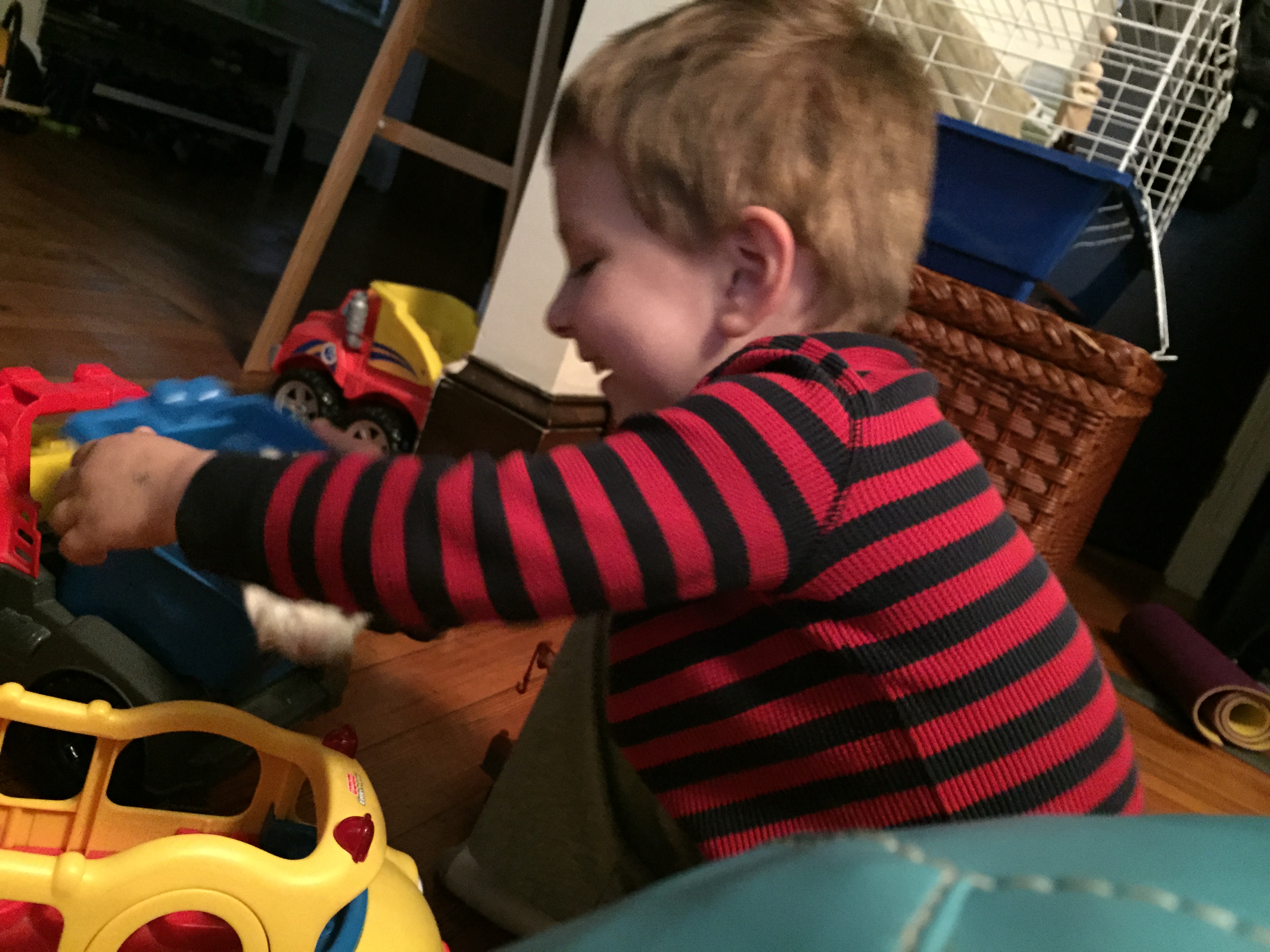 2015-06-01 19.21.36.jpg