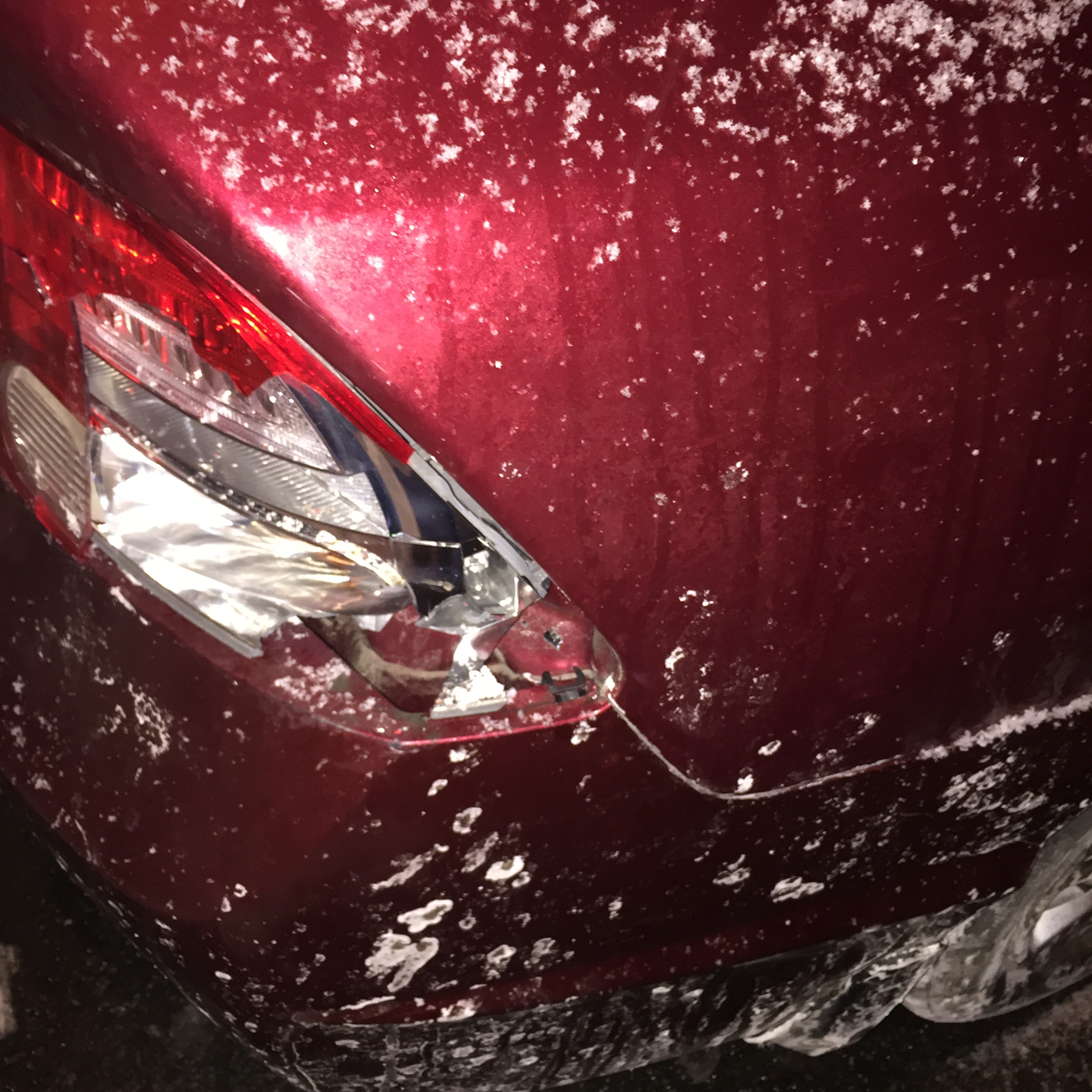 2015-02-18 17.51.31.jpg