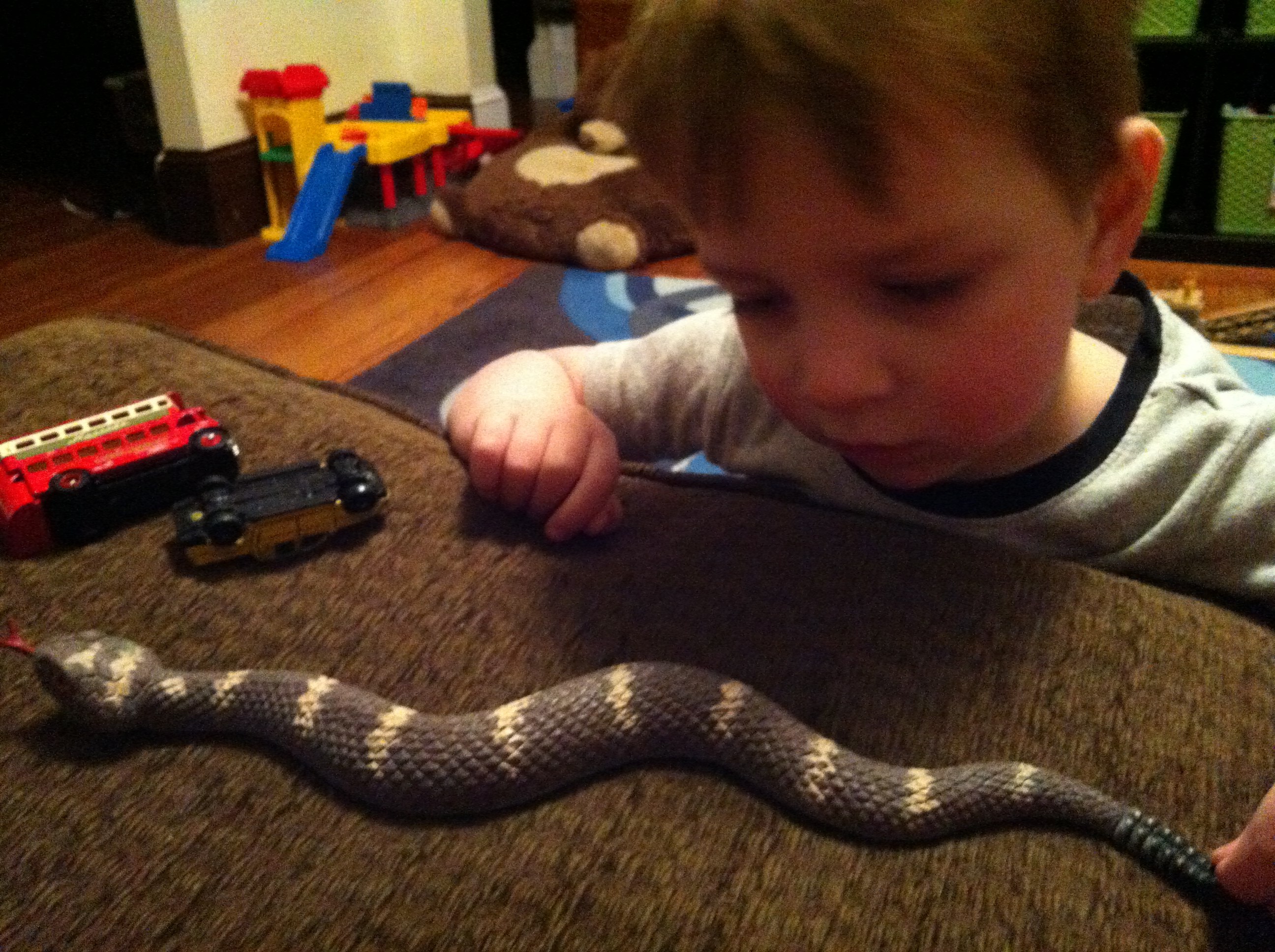 2014-03-01 18.17.06.jpg