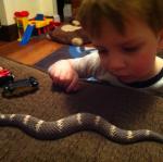 2014-03-01 18.17.06.jpg