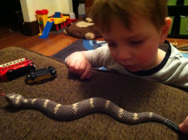 2014-03-01 18.17.06.jpg