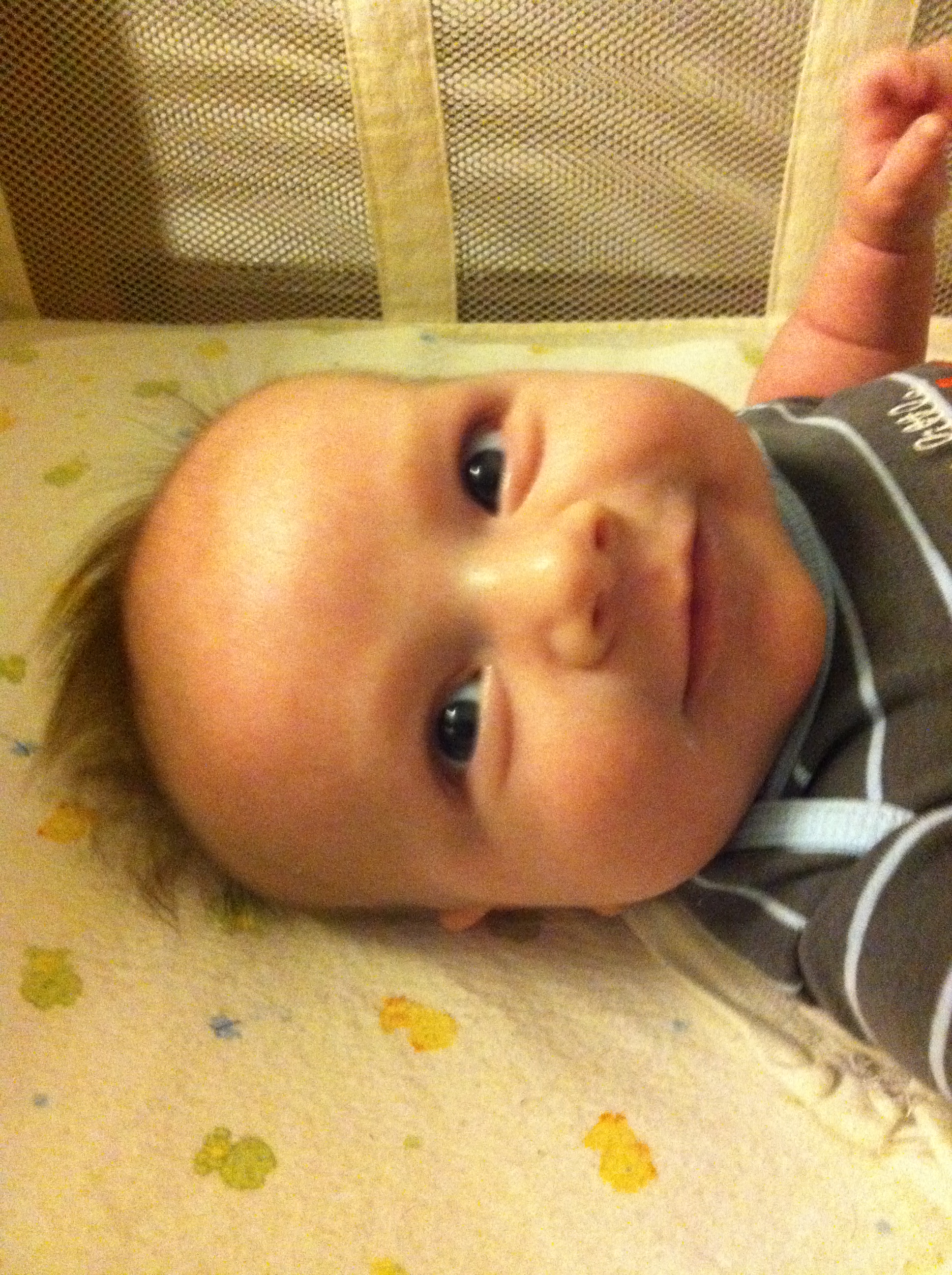 2011-11-03 08.34.49.jpg