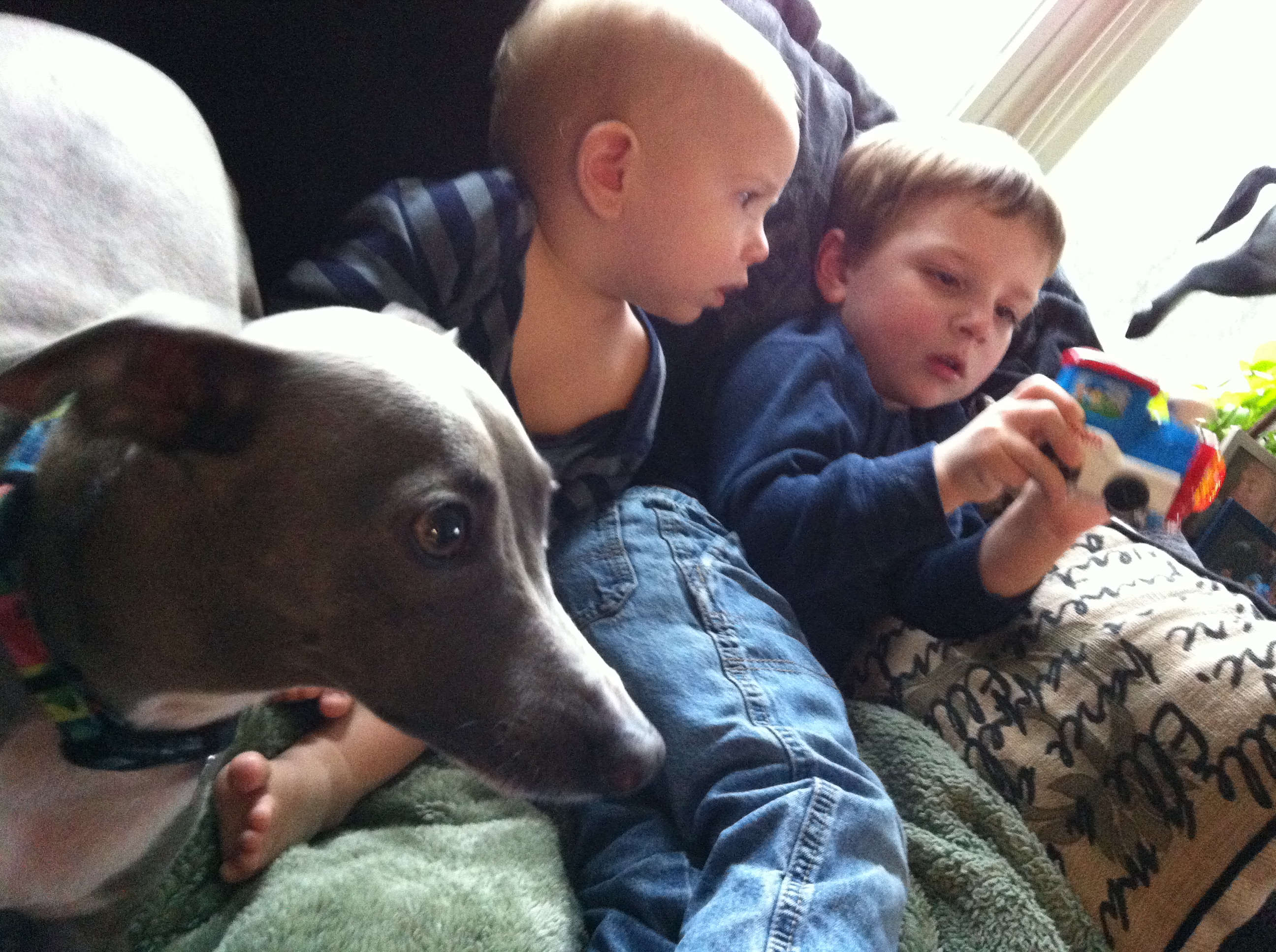 2014-12-24 11.48.08.jpg