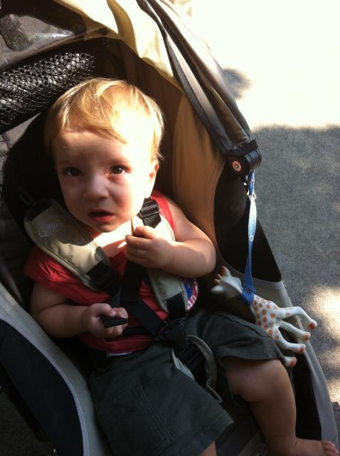 2012-09-02 10.32.53.jpg