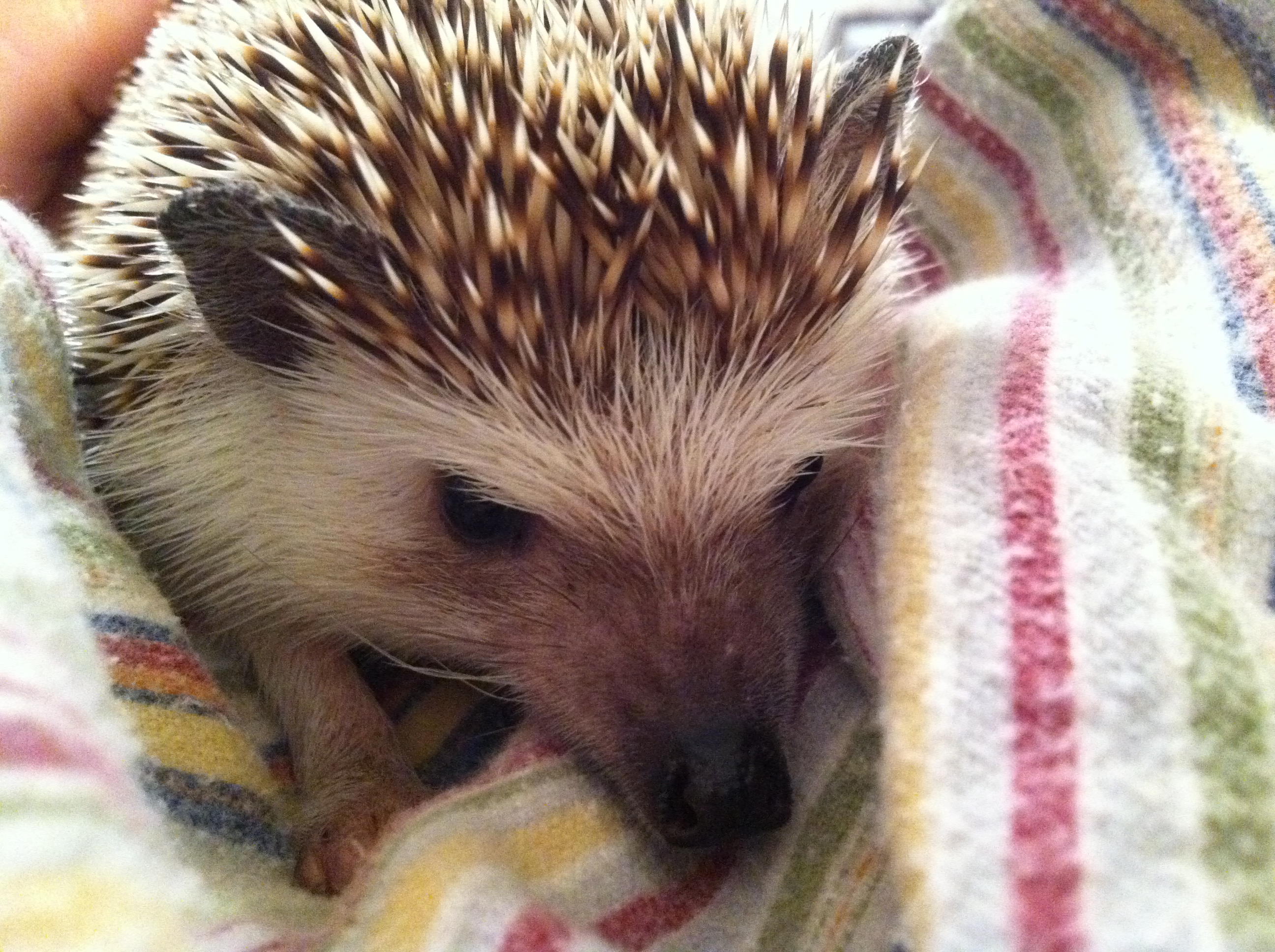 2011-05-22 21.35.29.jpg