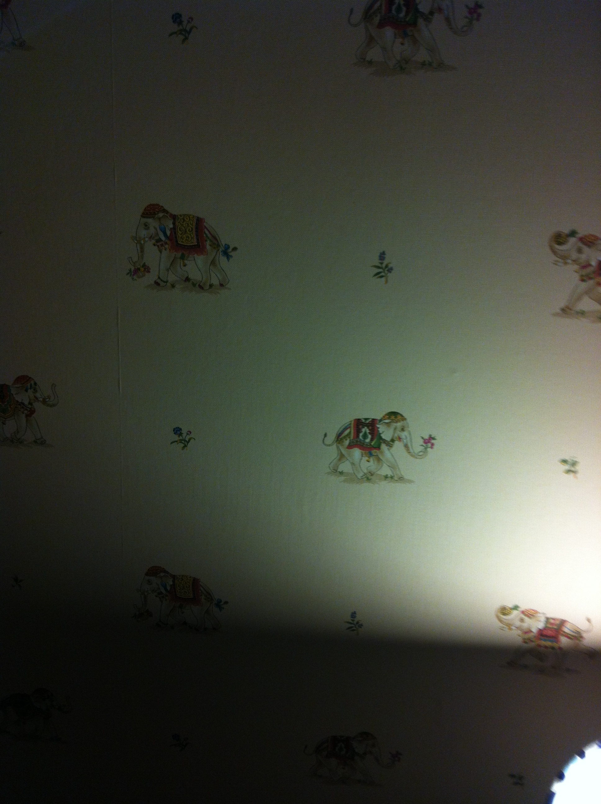 2014-11-27 18.49.52.jpg