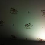 2014-11-27 18.49.52.jpg