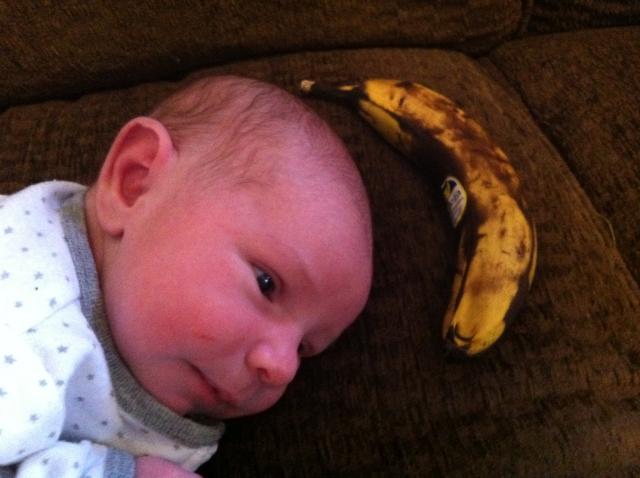 2014-02-02 08.51.53.jpg