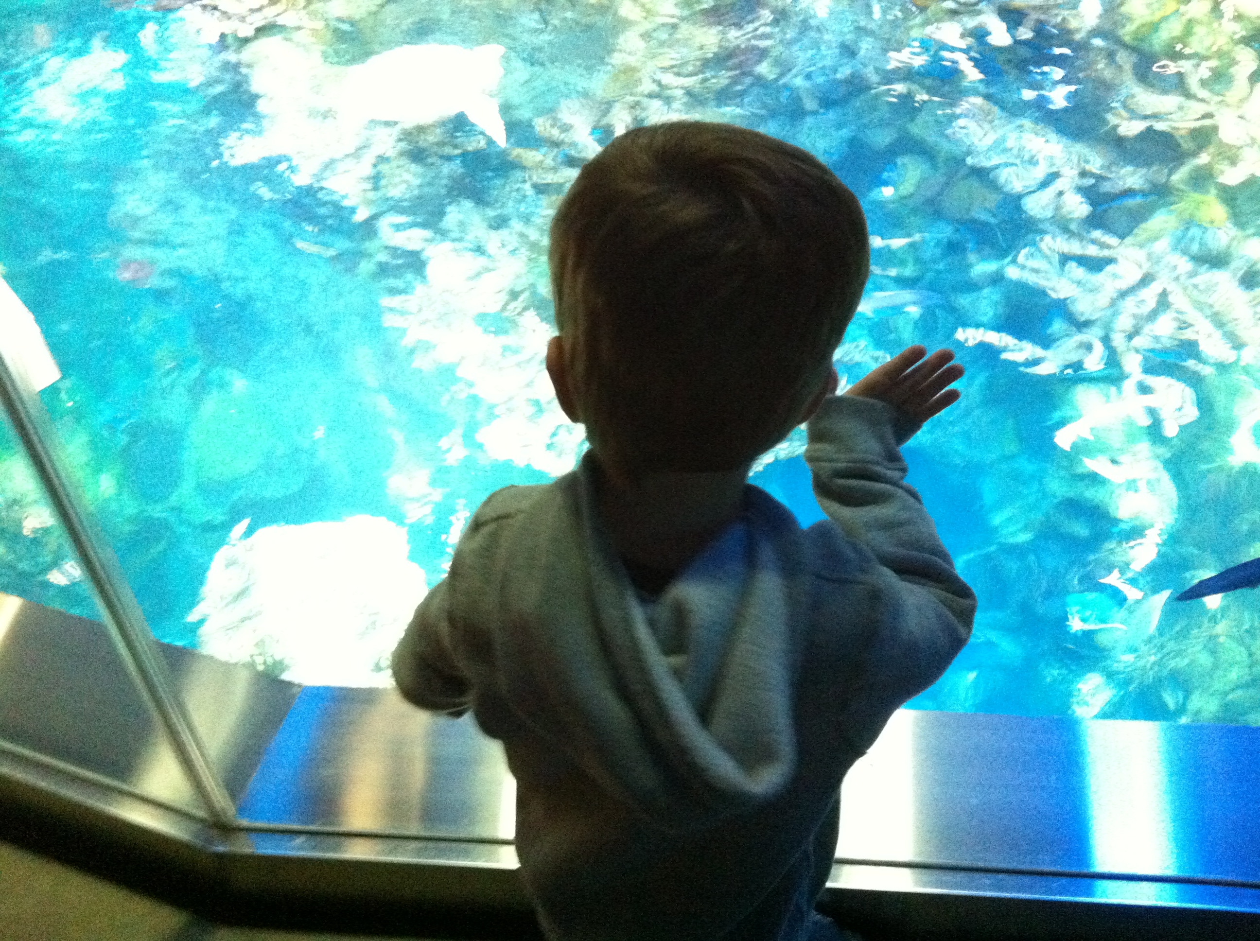 2014-12-14 10.37.21.jpg