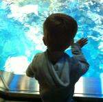 2014-12-14 10.37.21.jpg