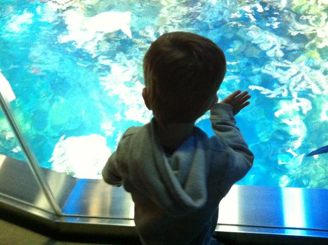 2014-12-14 10.37.21.jpg