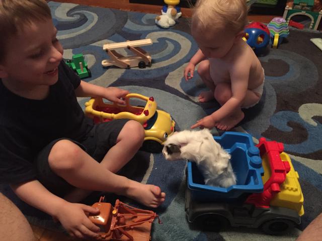 2015-06-09 19.09.42.jpg